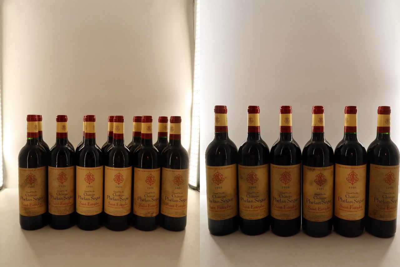 1996 Chateau Phelan Segur St. Estephe
