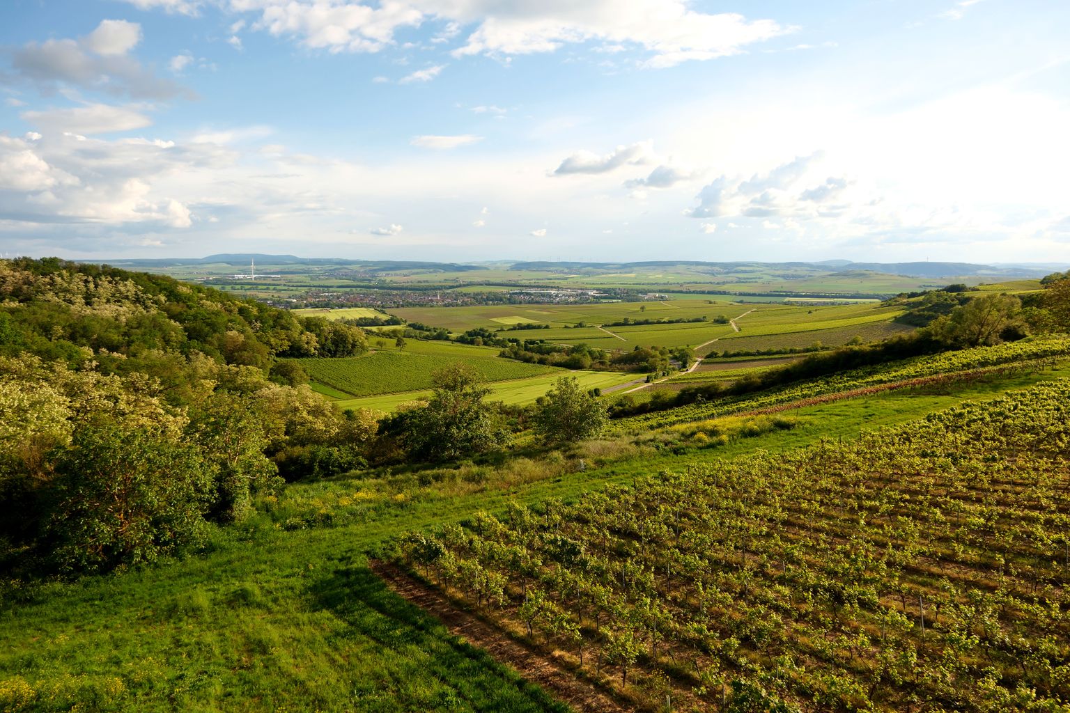 Weite Landschaft mit grünen Hügeln, Feldern und sanftem Horizont unter blauem Himmel.