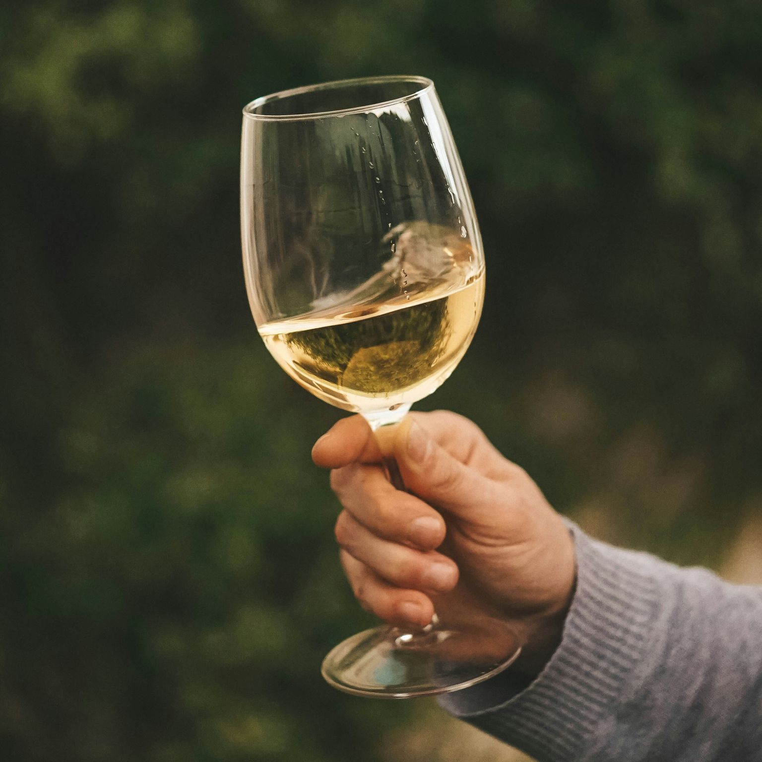 Ein Glas Weißwein wird vor grüner Natur gehalten.