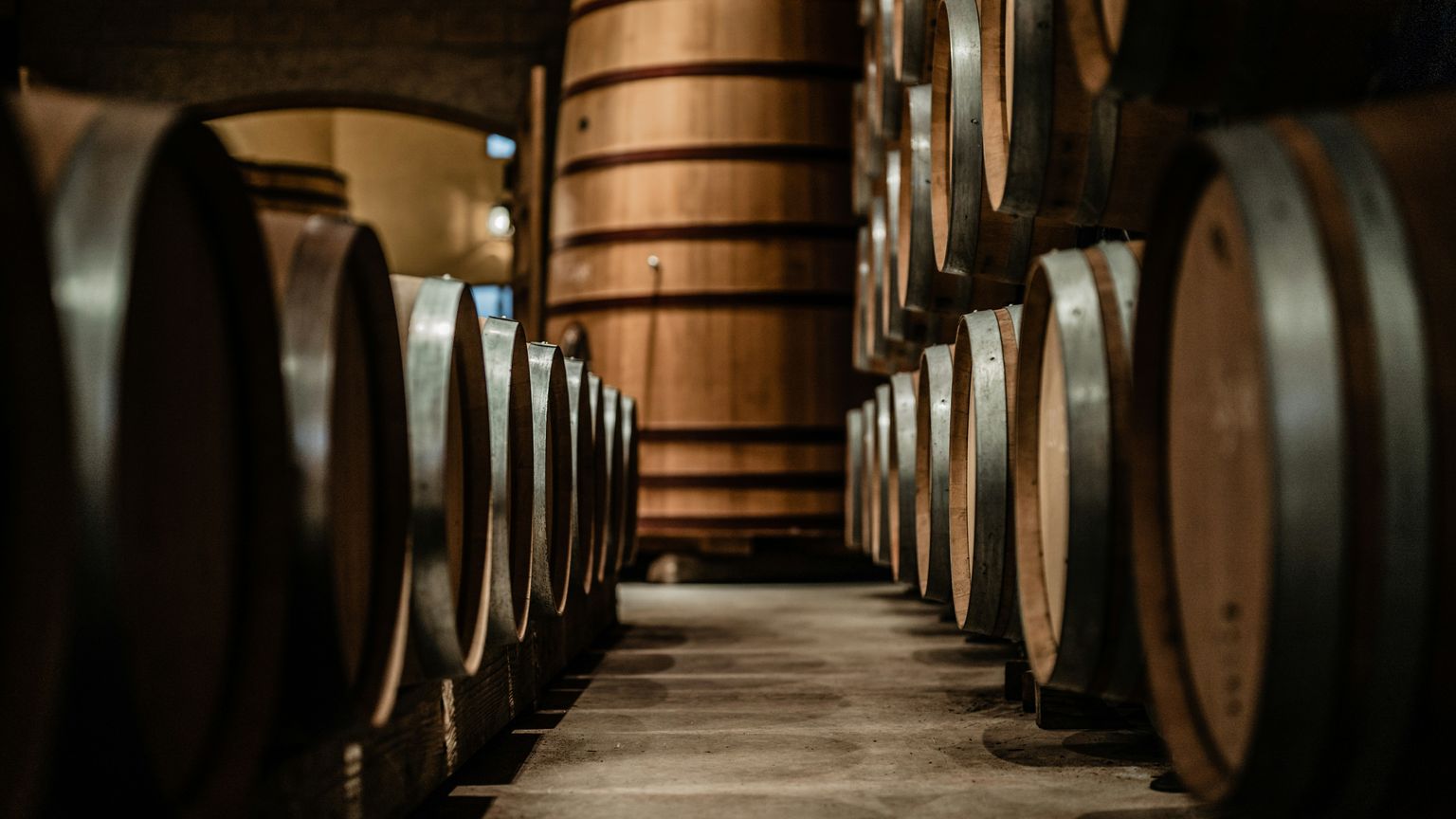 Großer Lagerraum mit vielen Holzfässern zur Wein- oder Flüssigkeitslagerung.